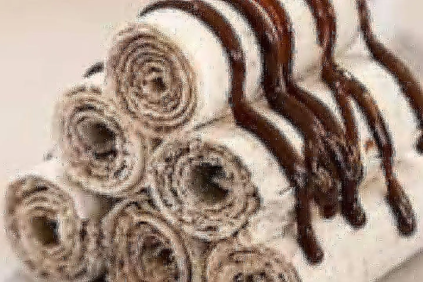 ايس كريم صاج بوانتى