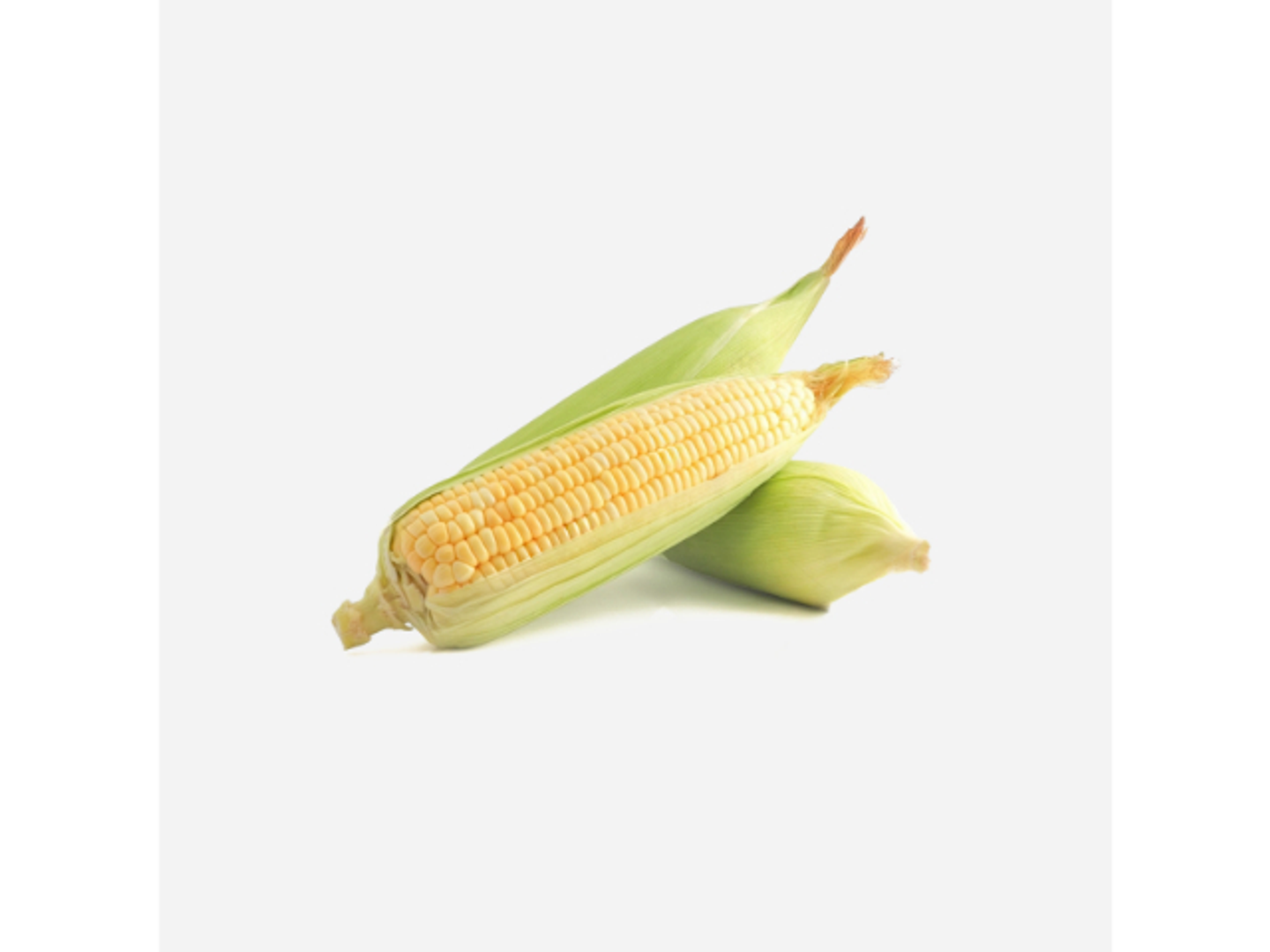 Corn (Dutch)