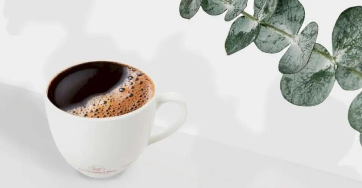 American Filter Coffee