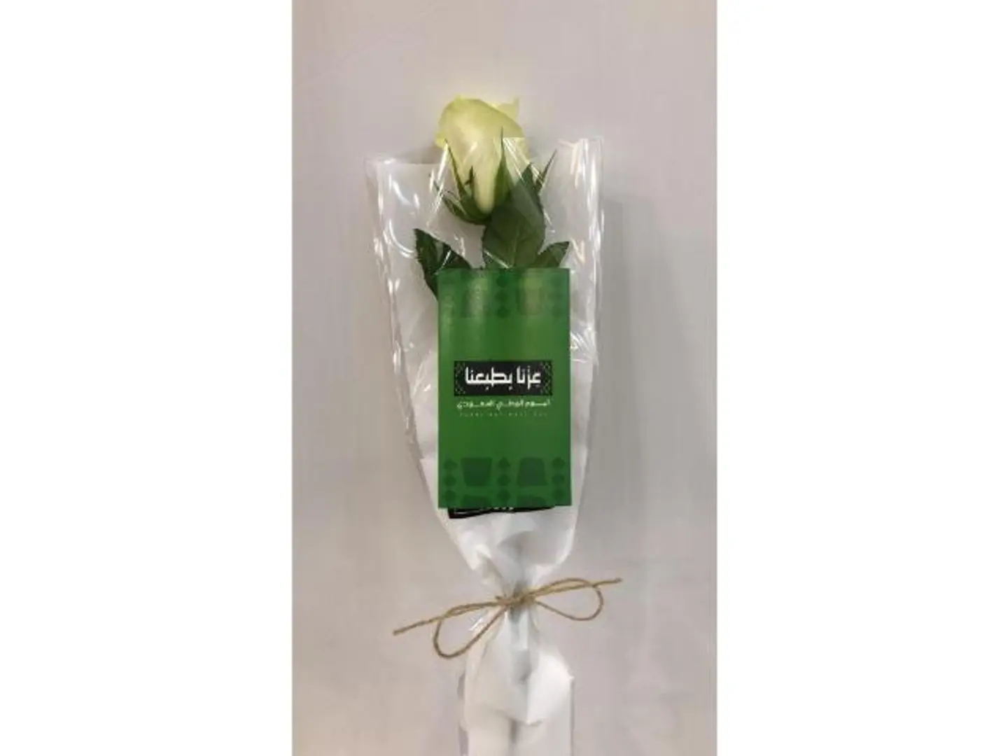 National Day Word Distributions 4