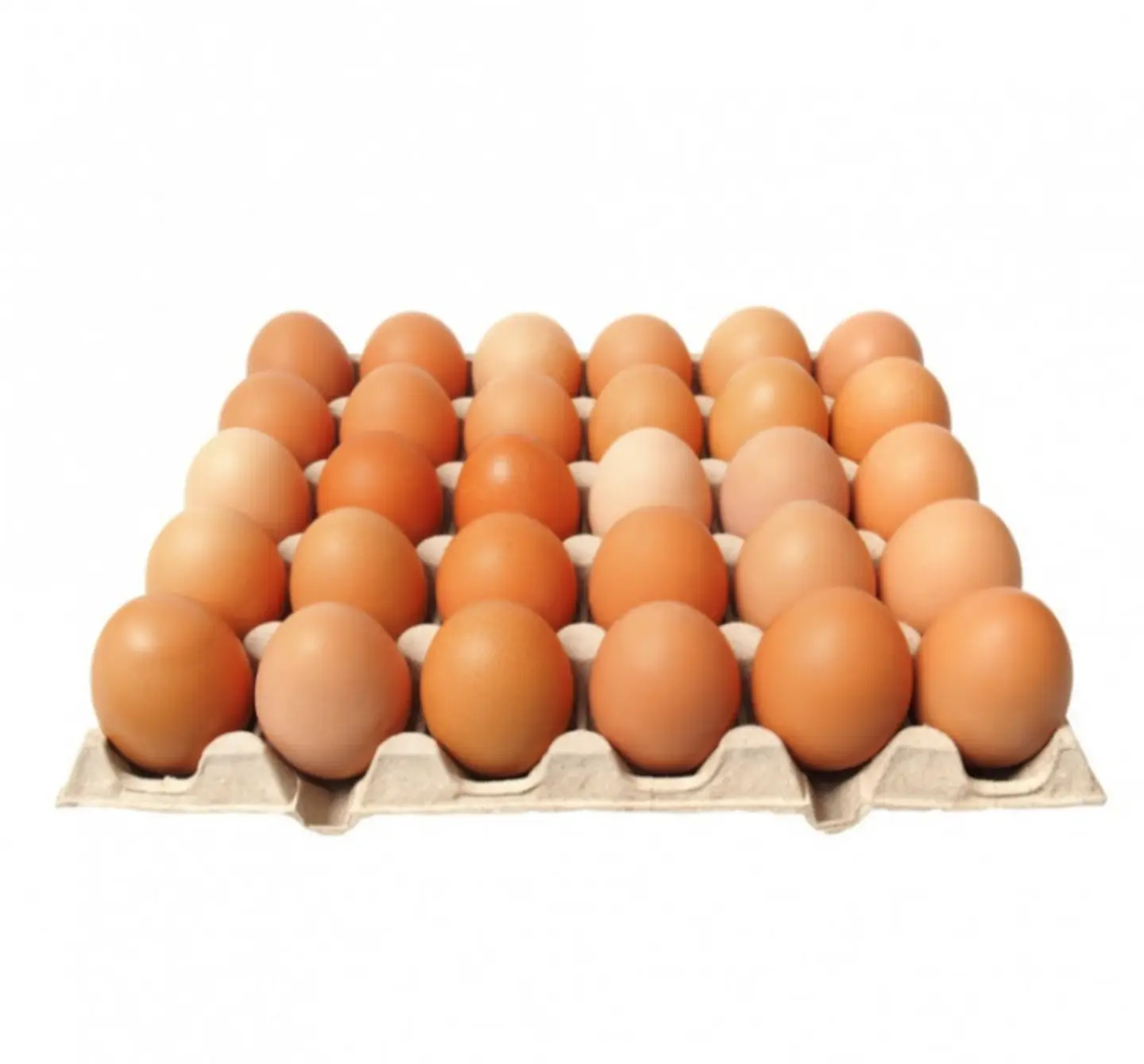 طبق بيض بلدي