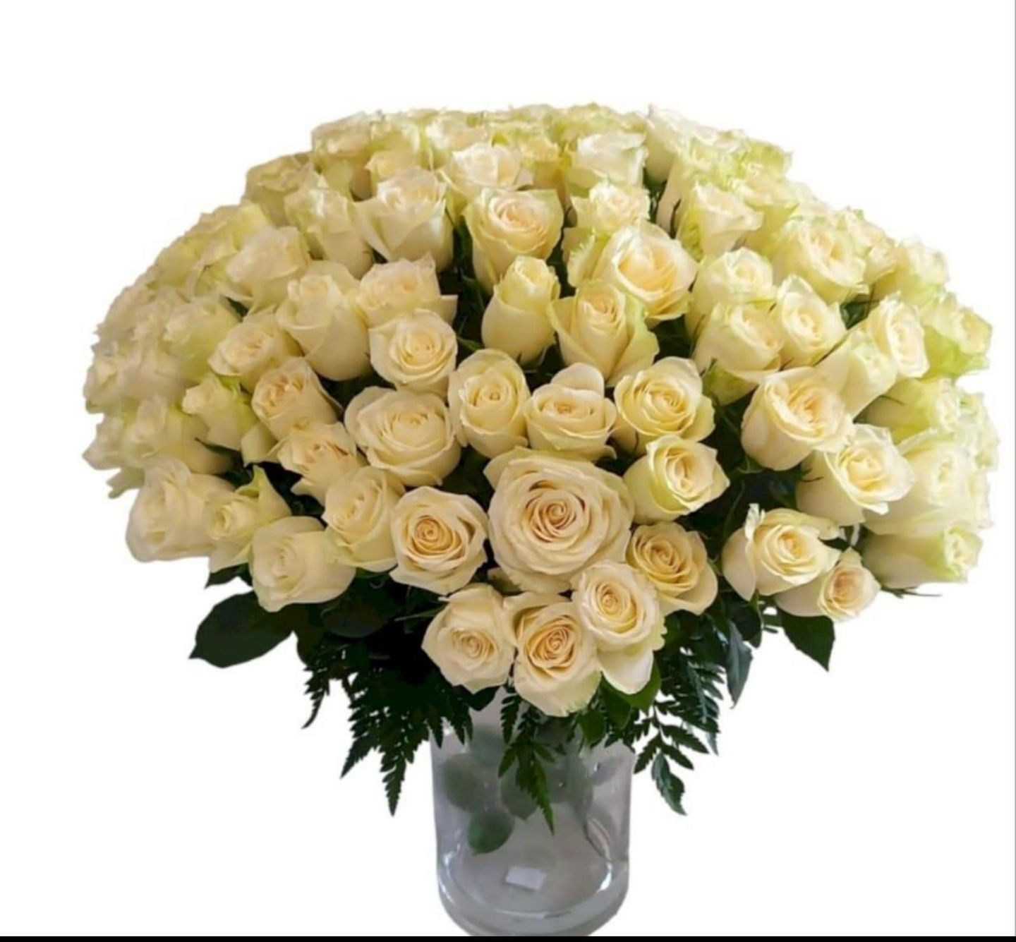 White Magic Vase