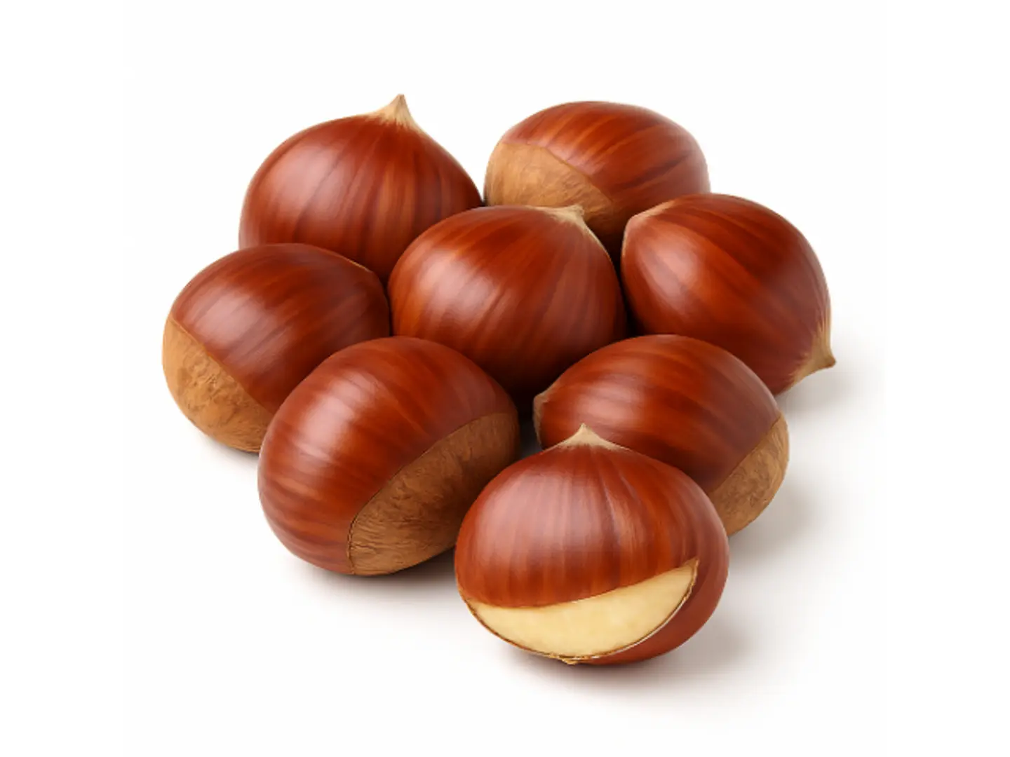 Chestnut
