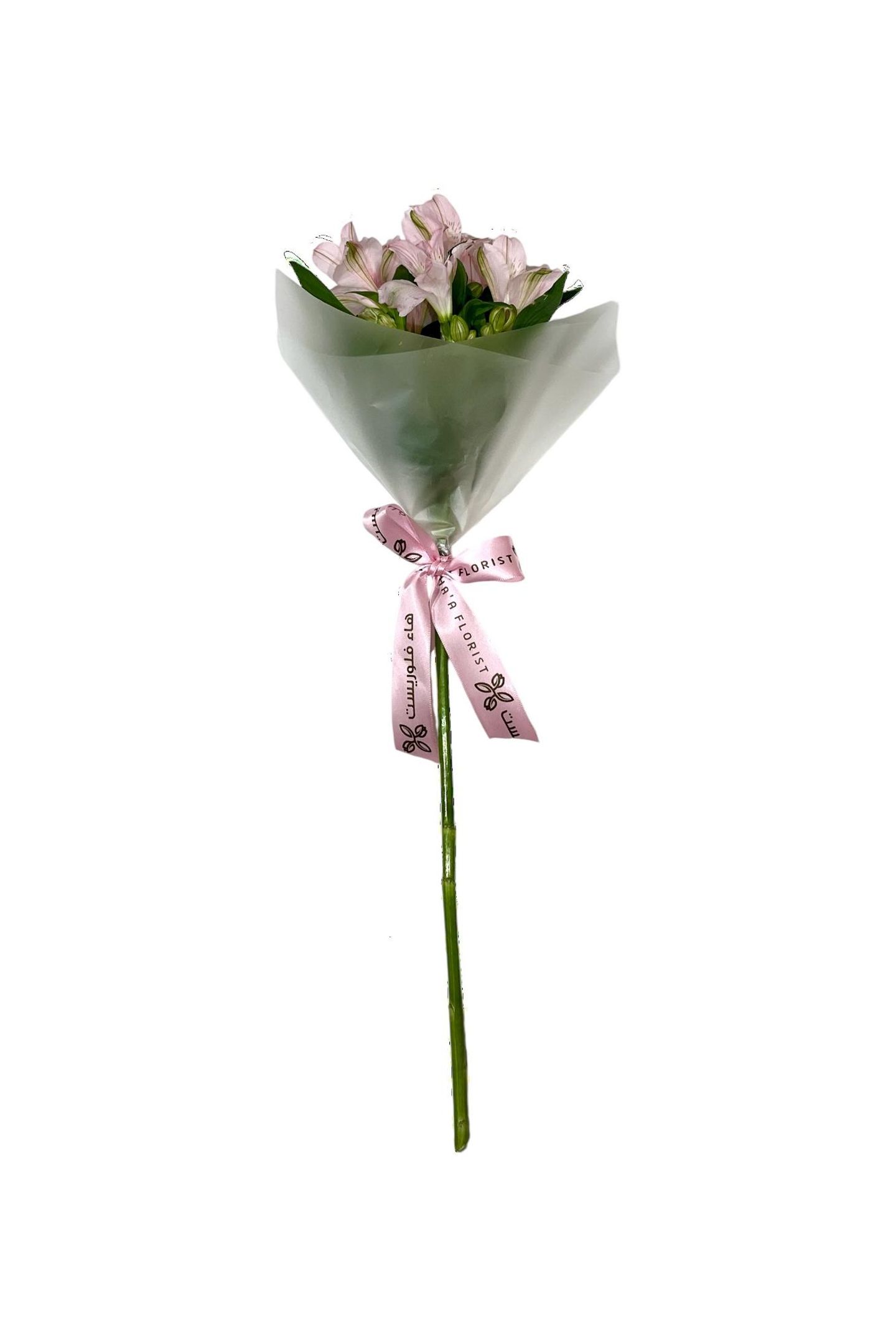 الستروميريا وردي