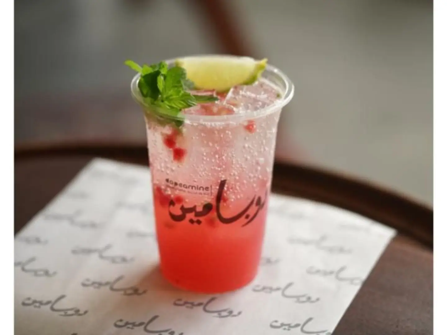 Pomegranate Mojito