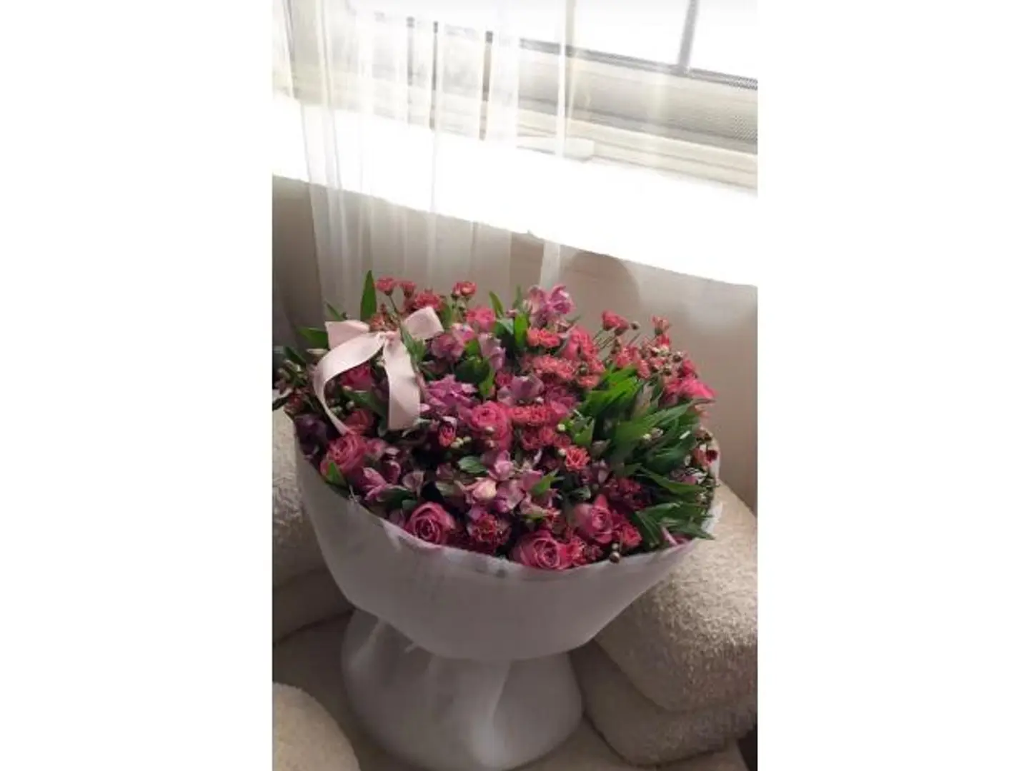 قلب البستان