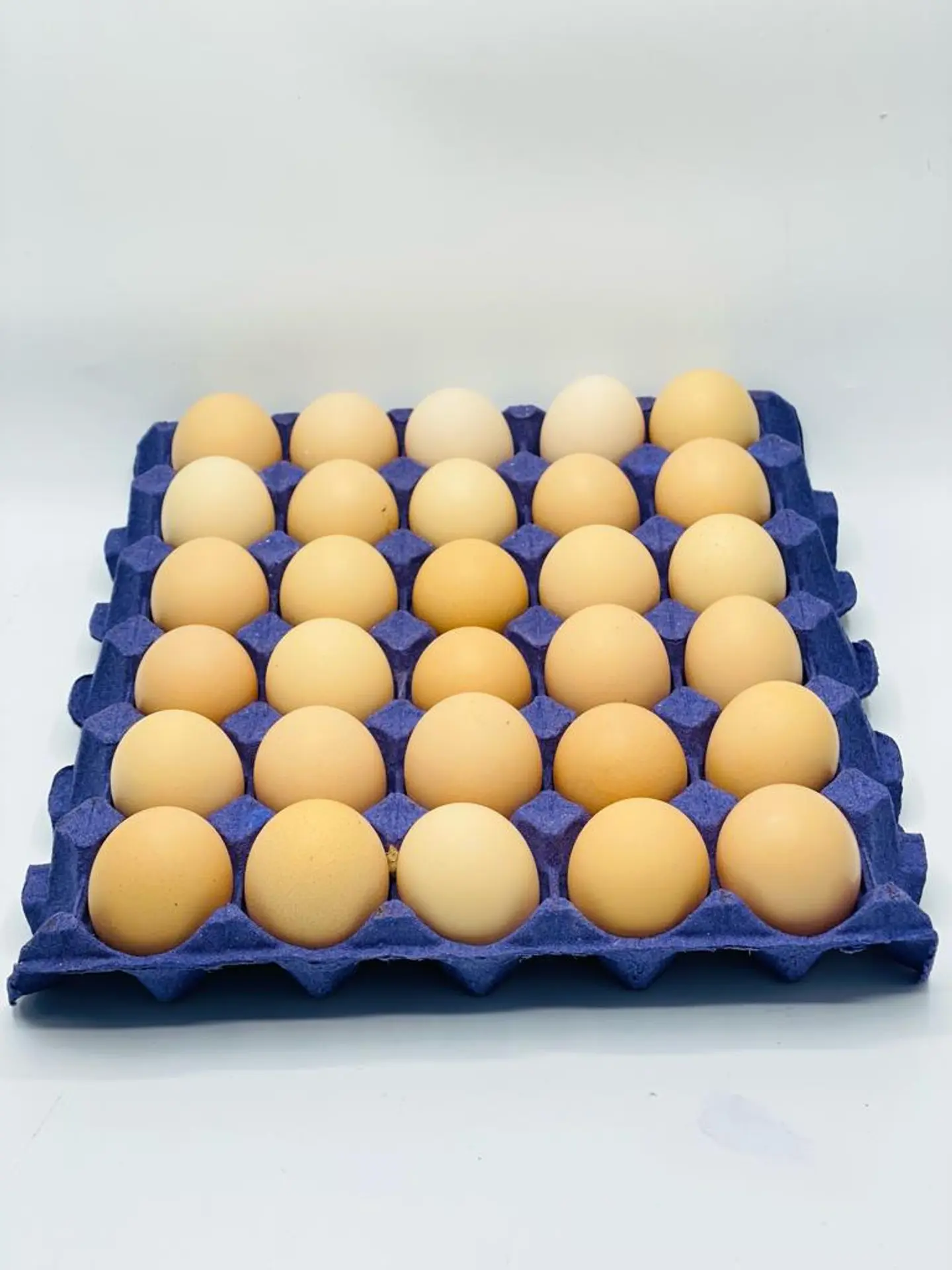 Fresh Local Eggs Dish