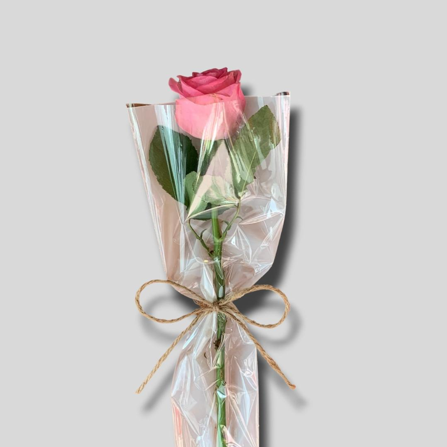 توزيعات الجوري بنك