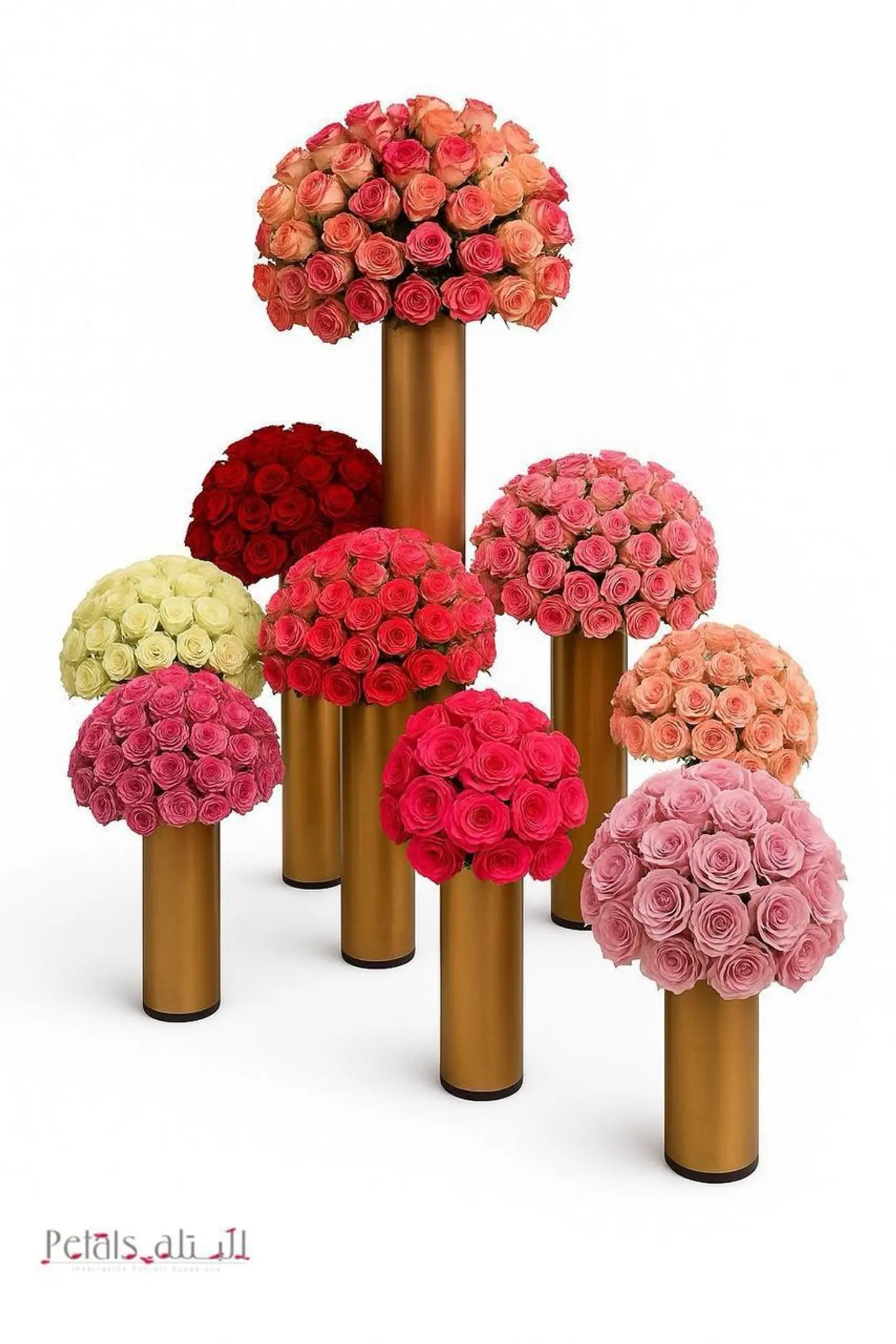 الفخامة الذهبية