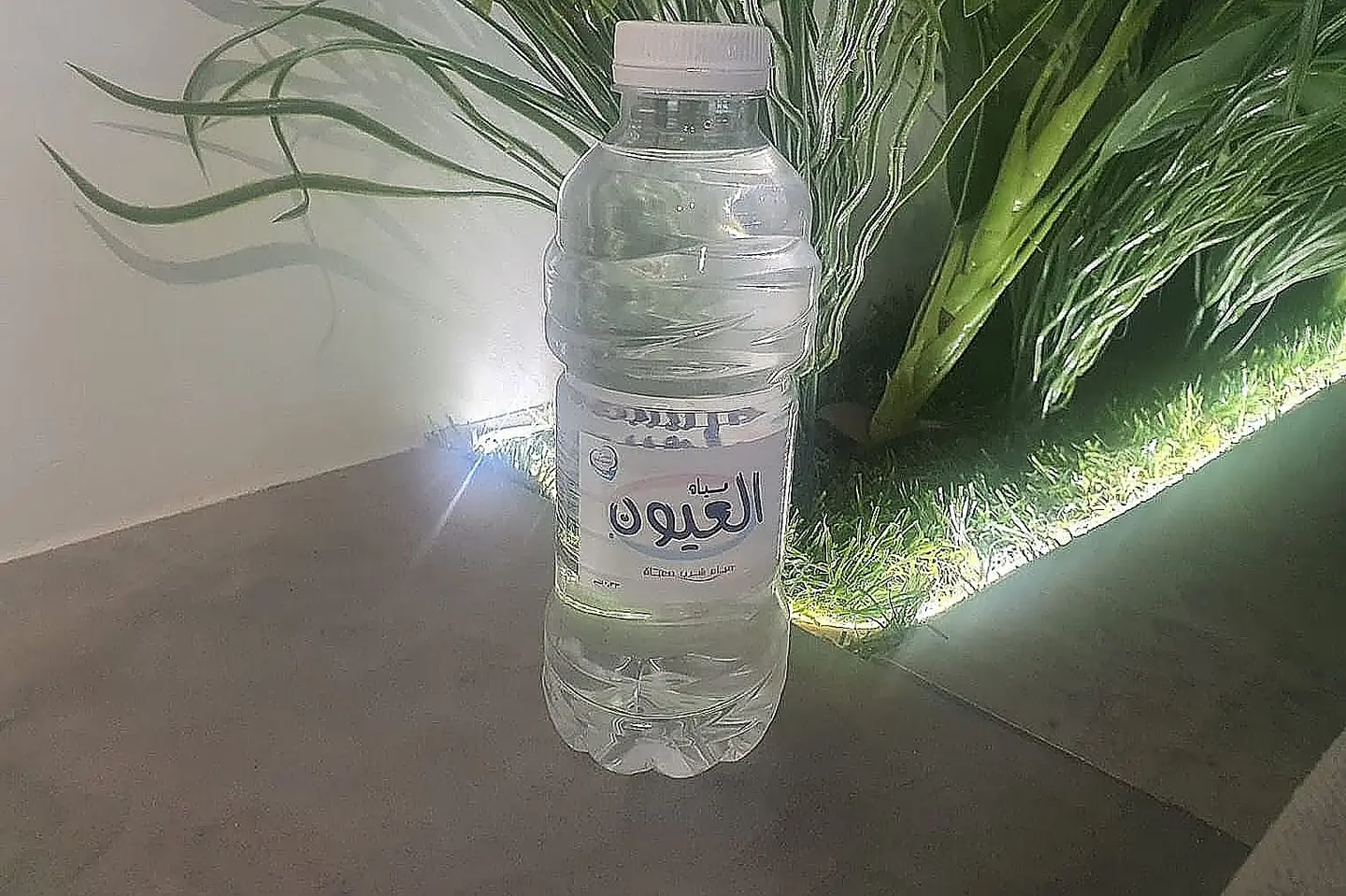 Al Oyoun Water