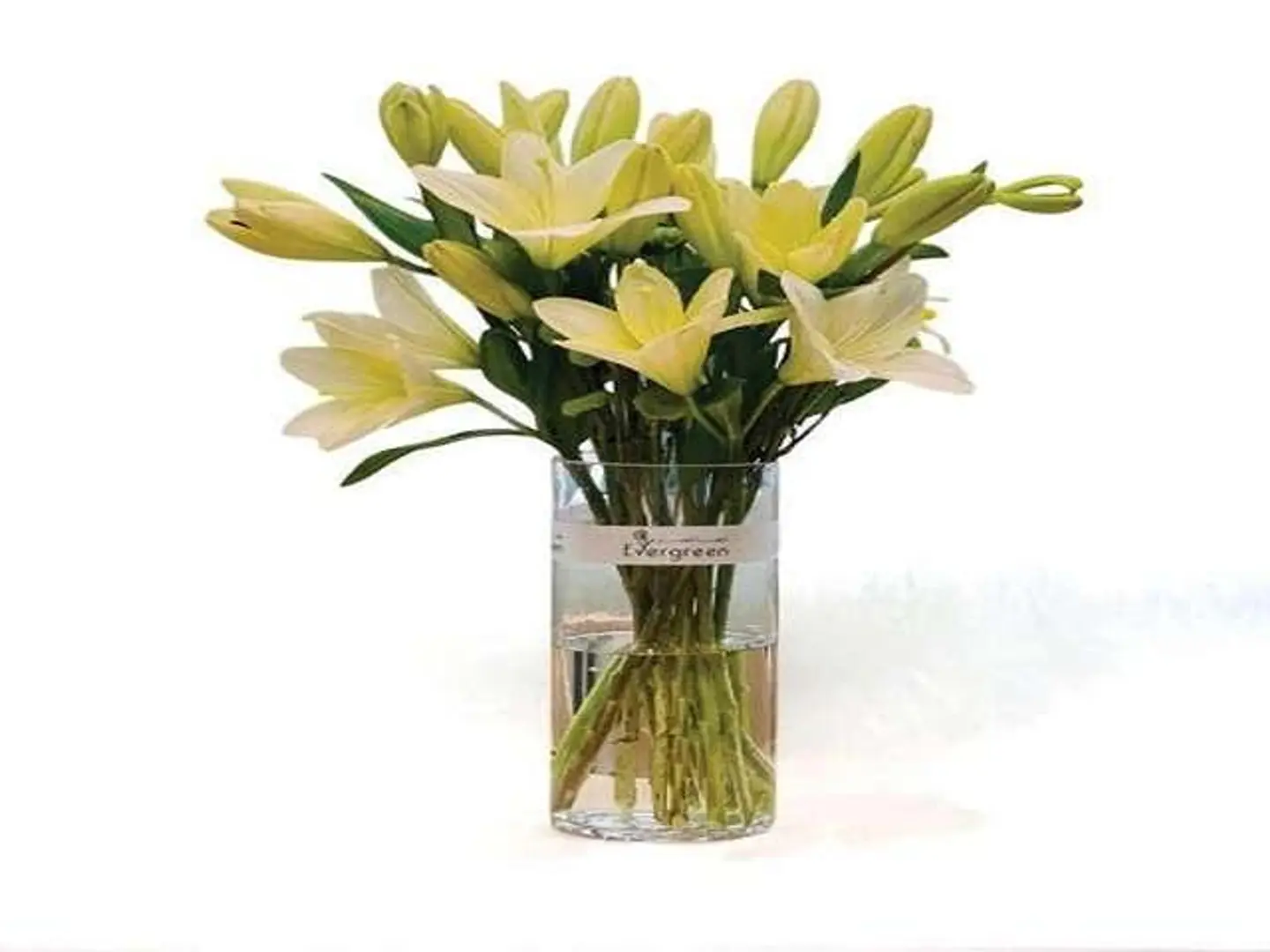 اف زيرو فور