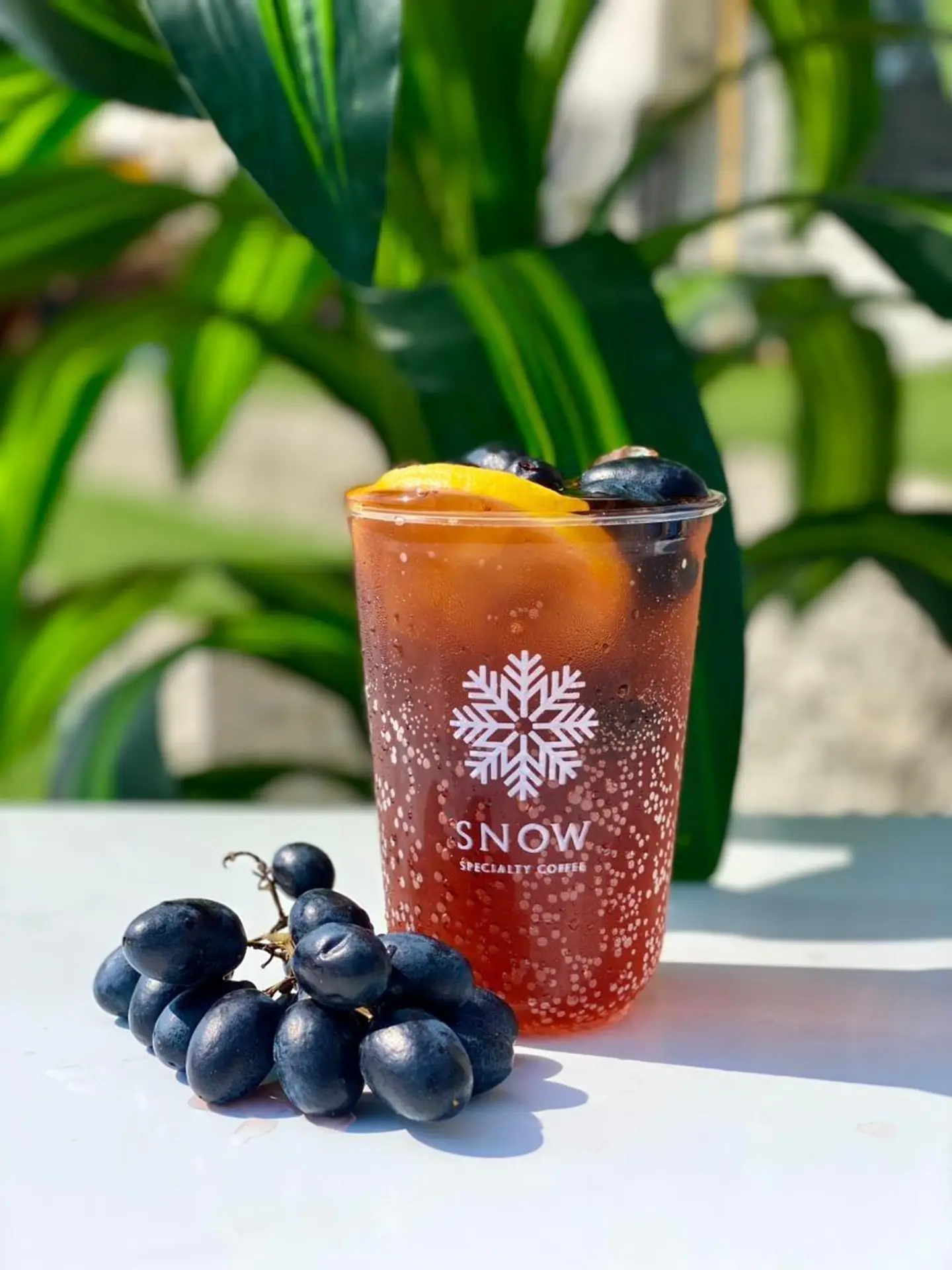 Snow Mojito