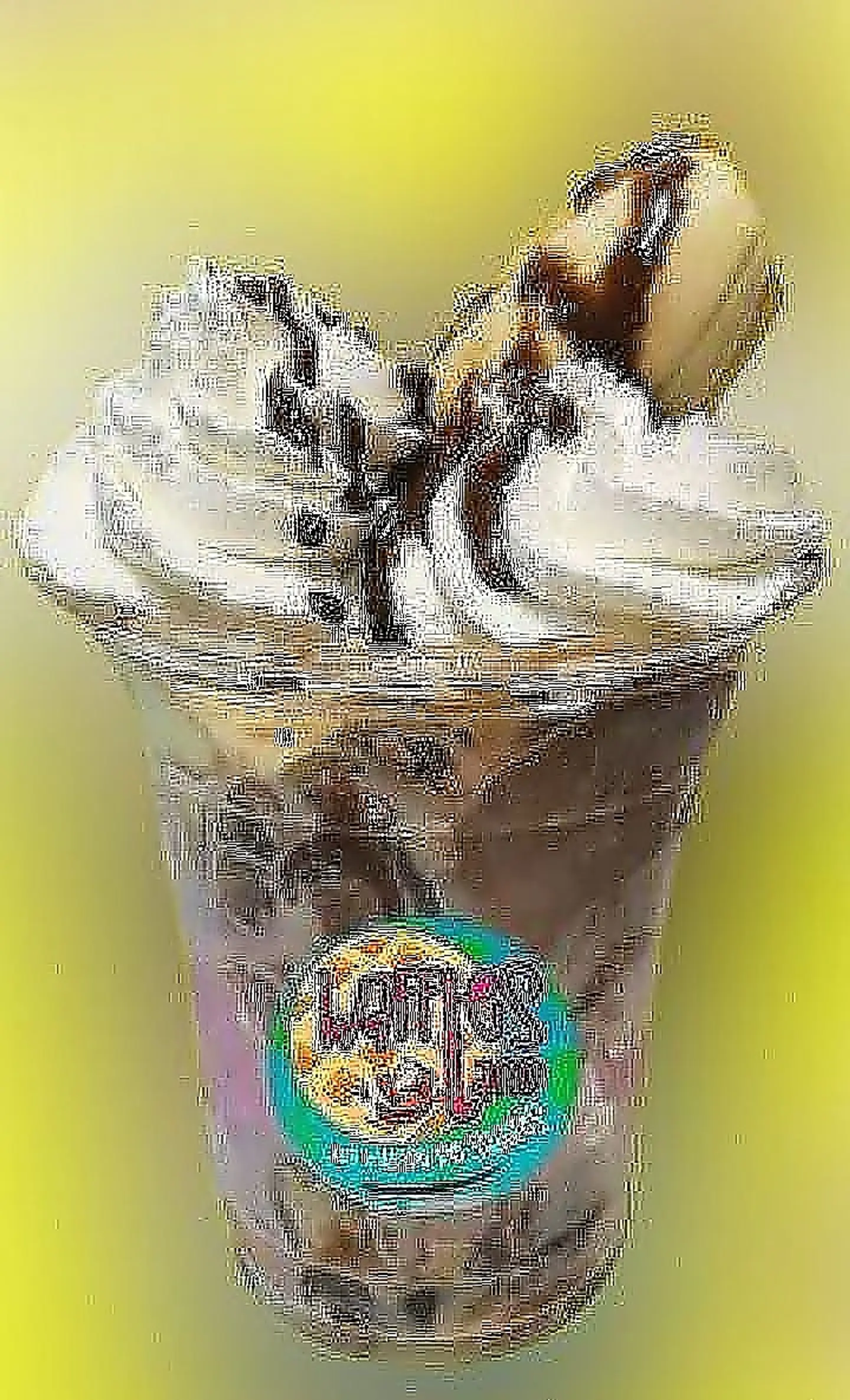 بنانا سبليت