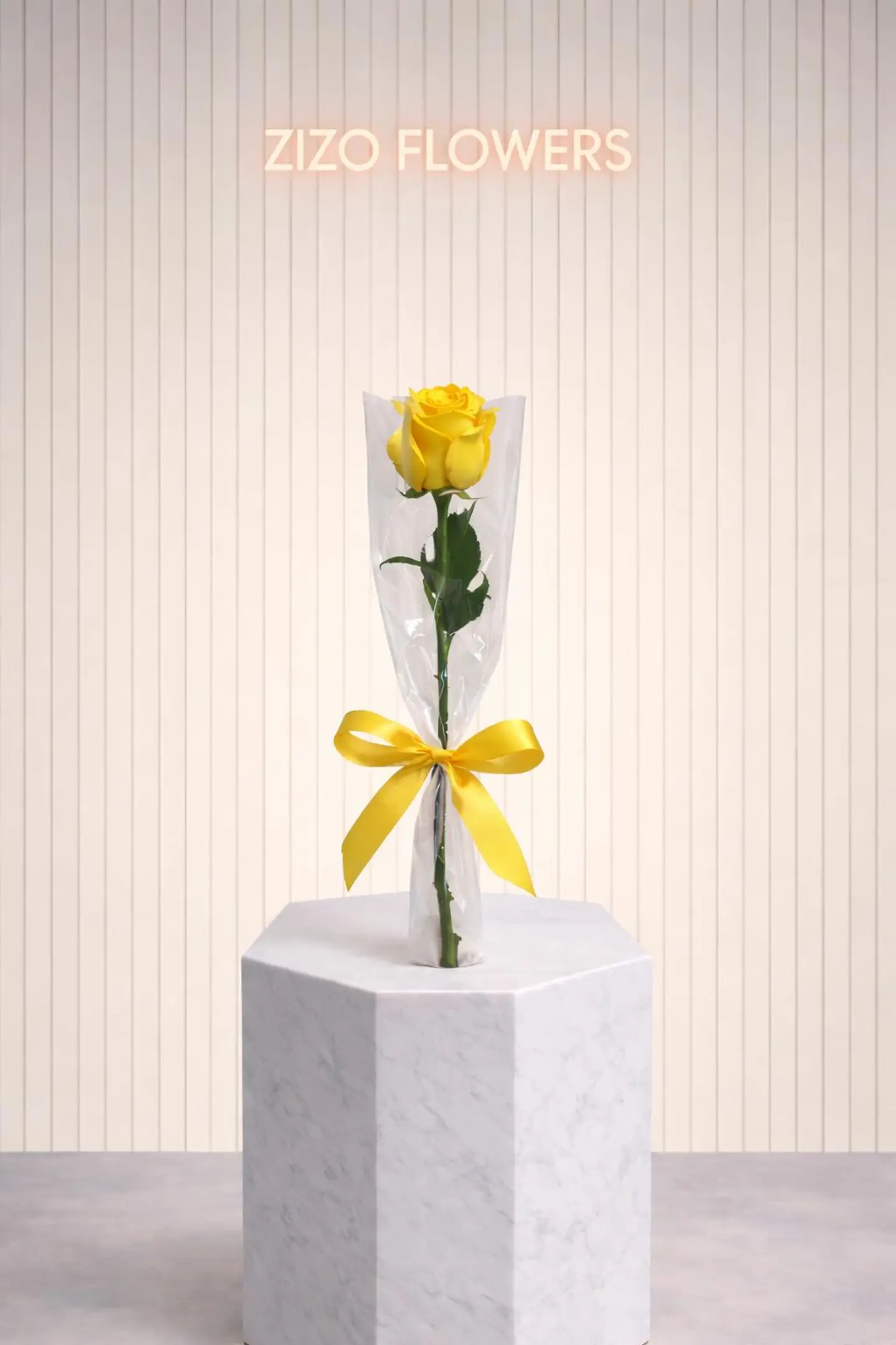 Yellow Jouri Distributions