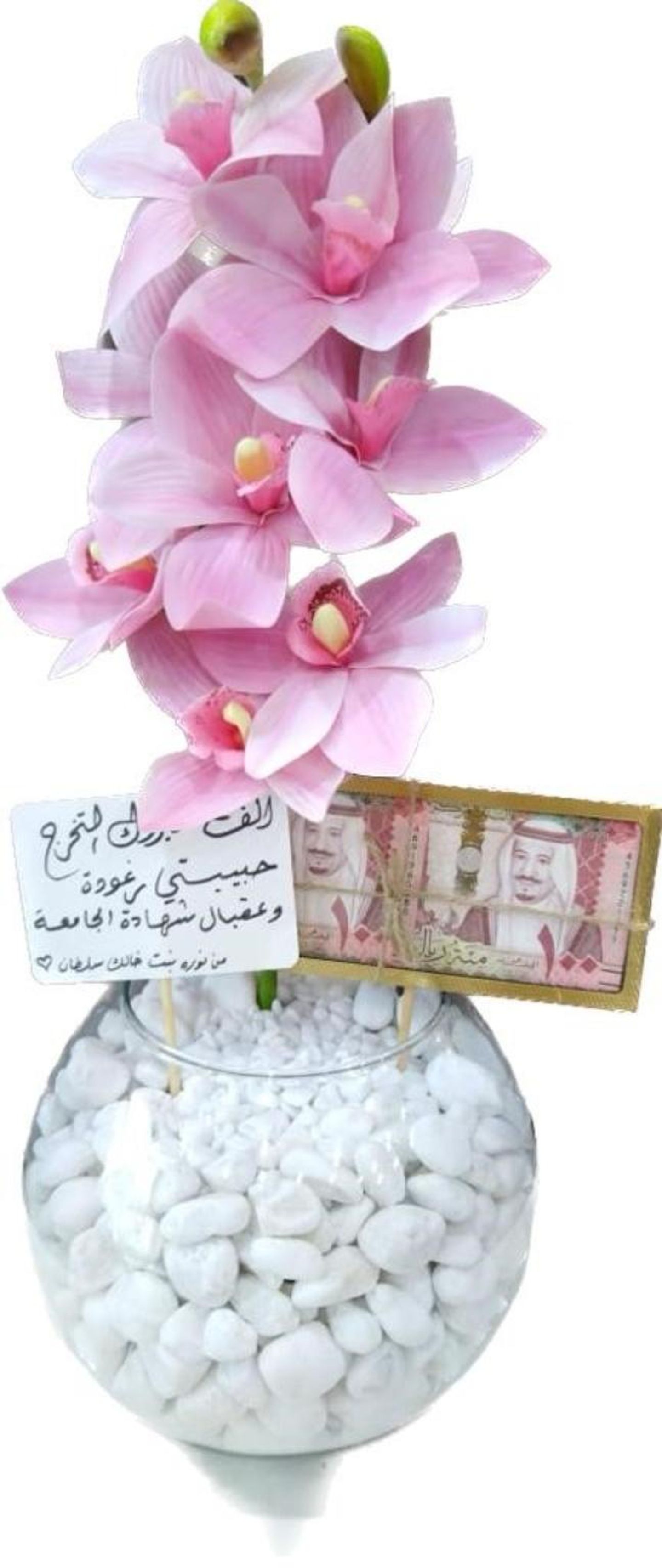 فازة 6