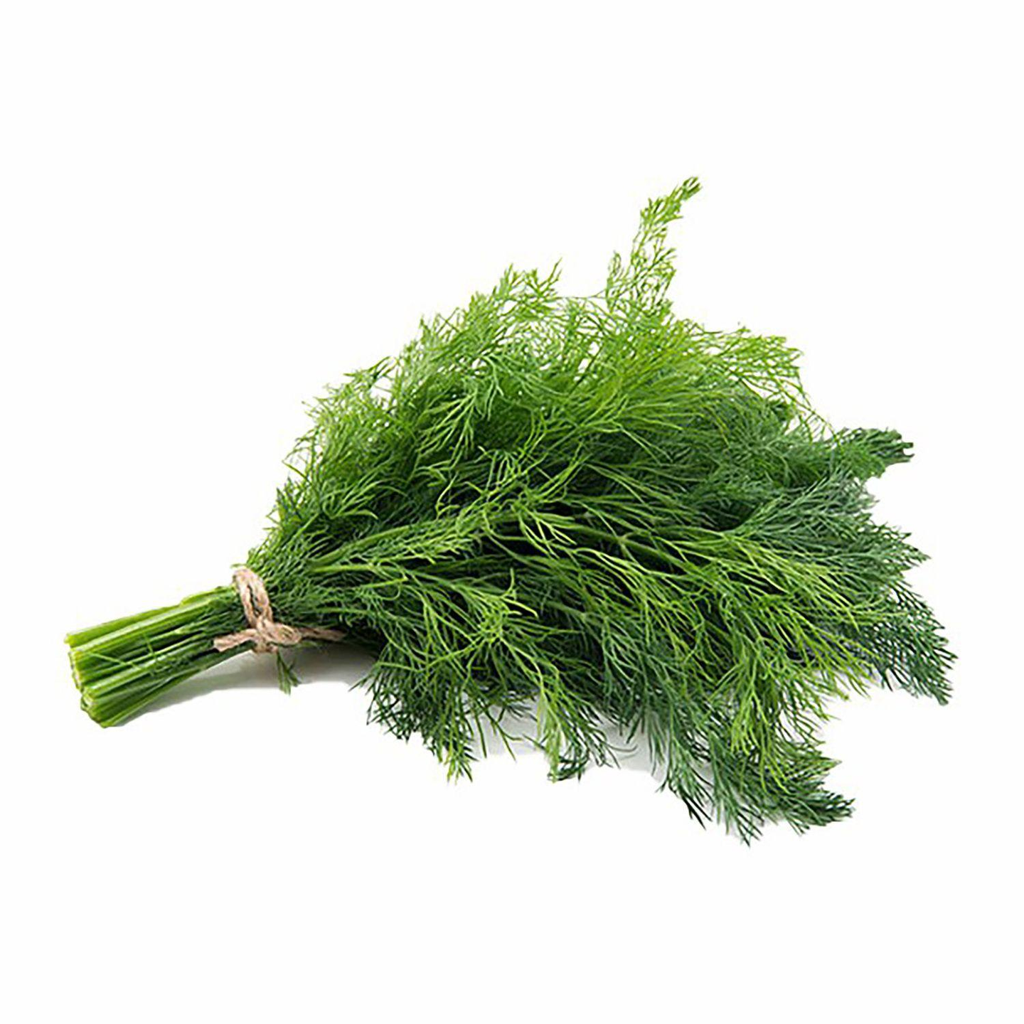Dill