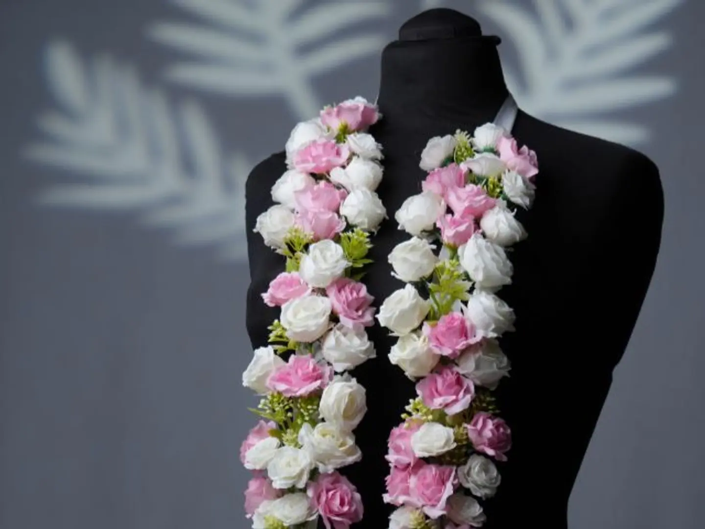 عقد التخرج 2 2026