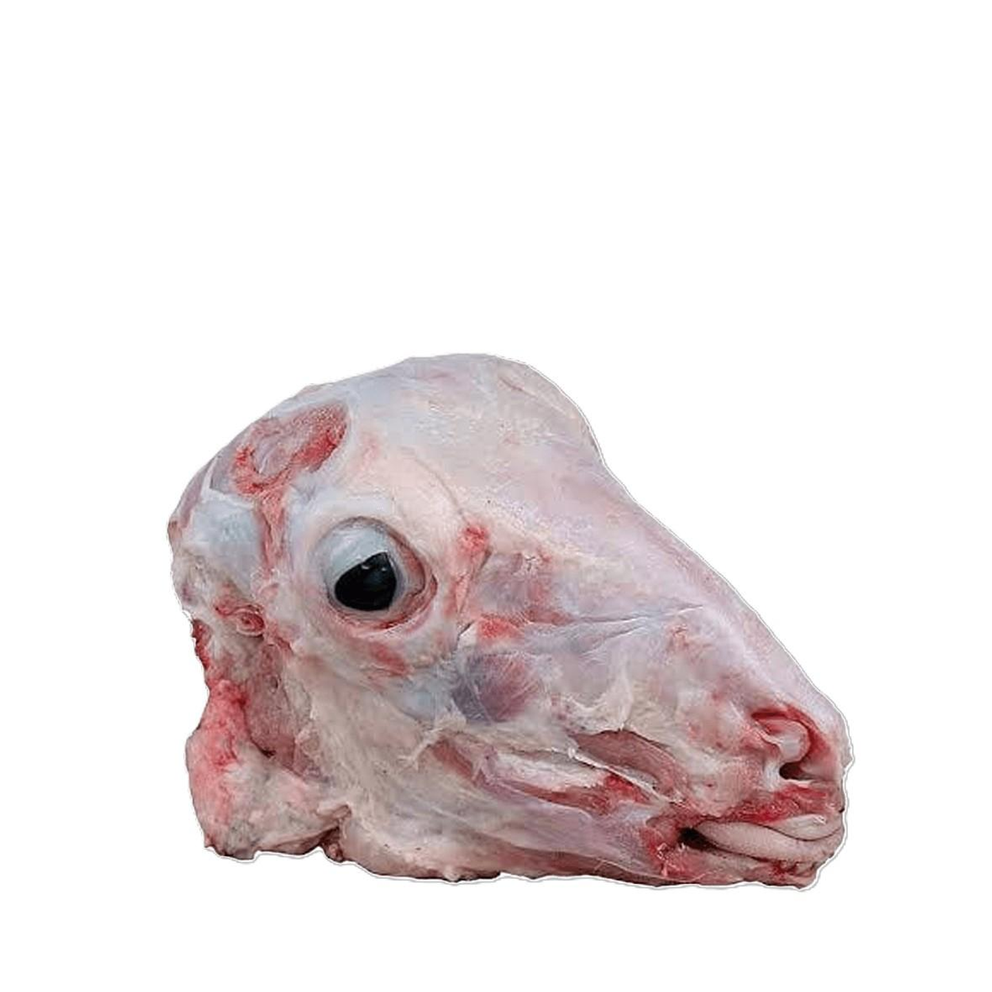 Harri Head