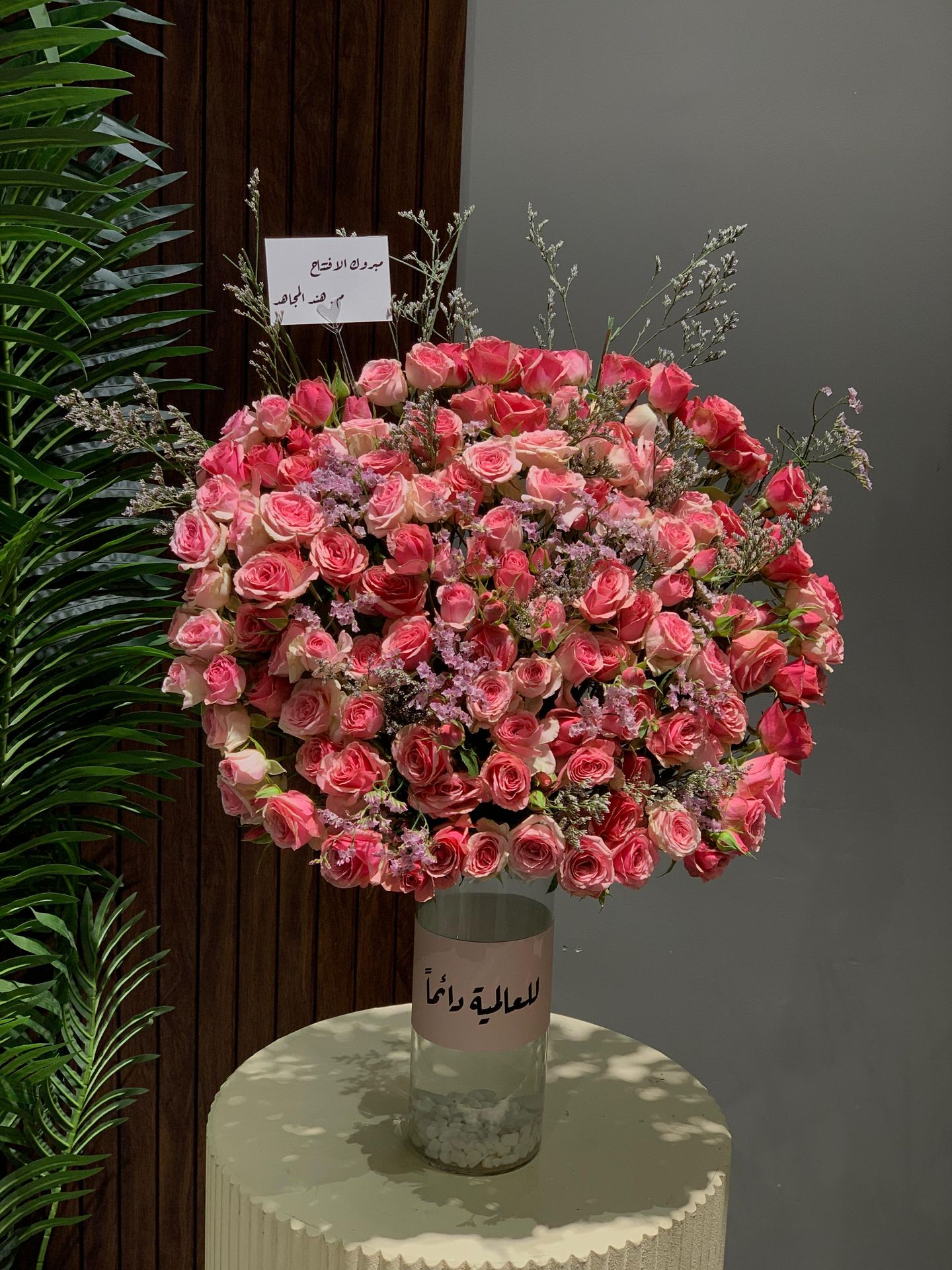 فازة روز