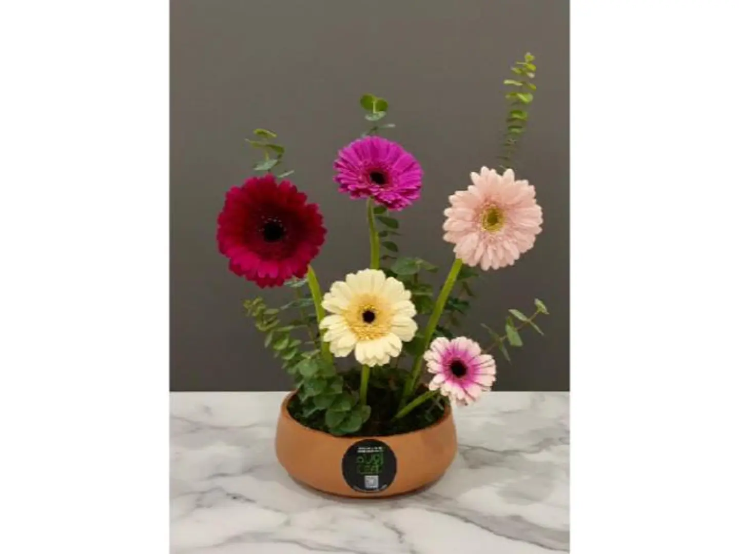 Terracotta Garden 400