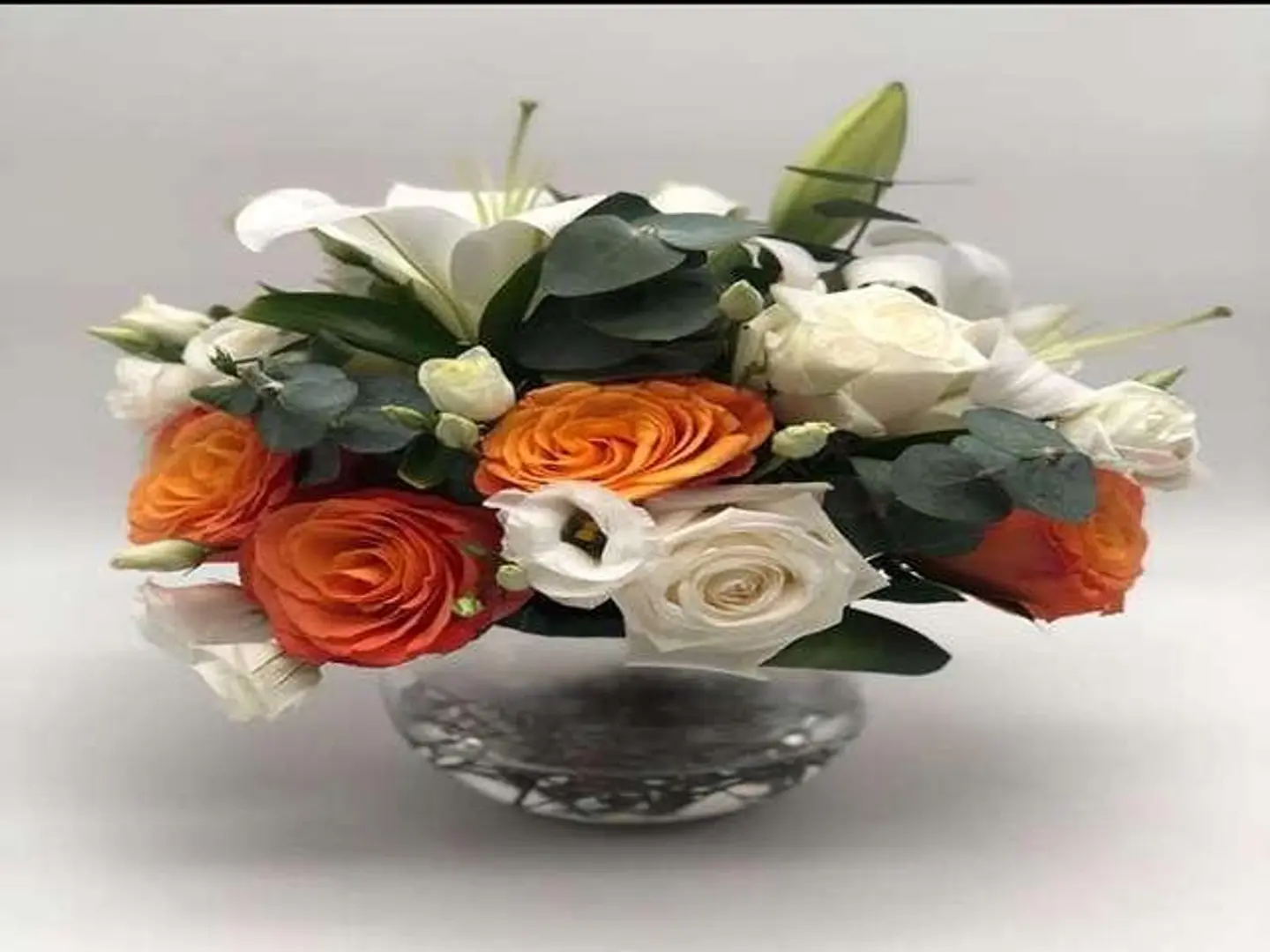 فازه الاناقه