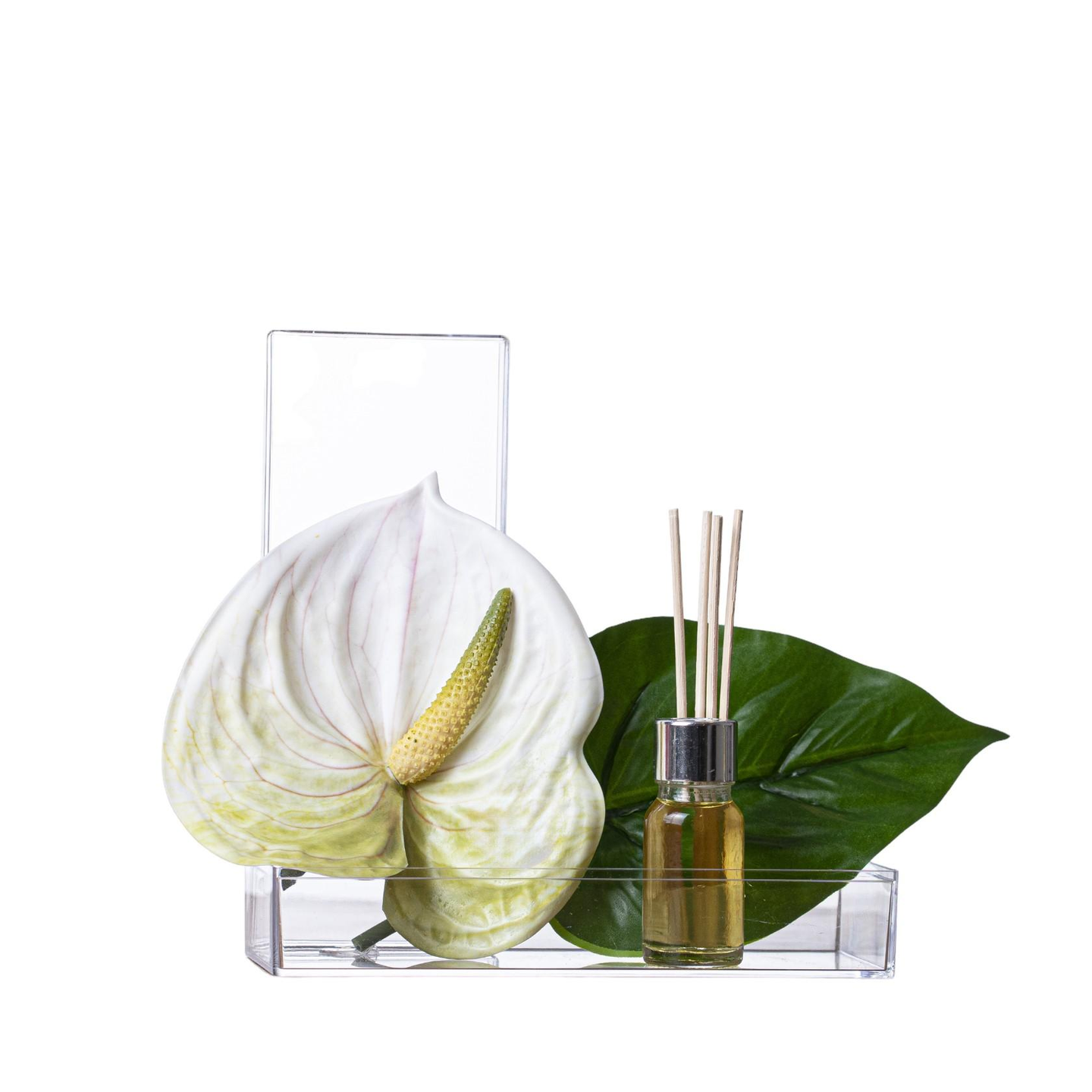 White Flamingo Flower With Aroma