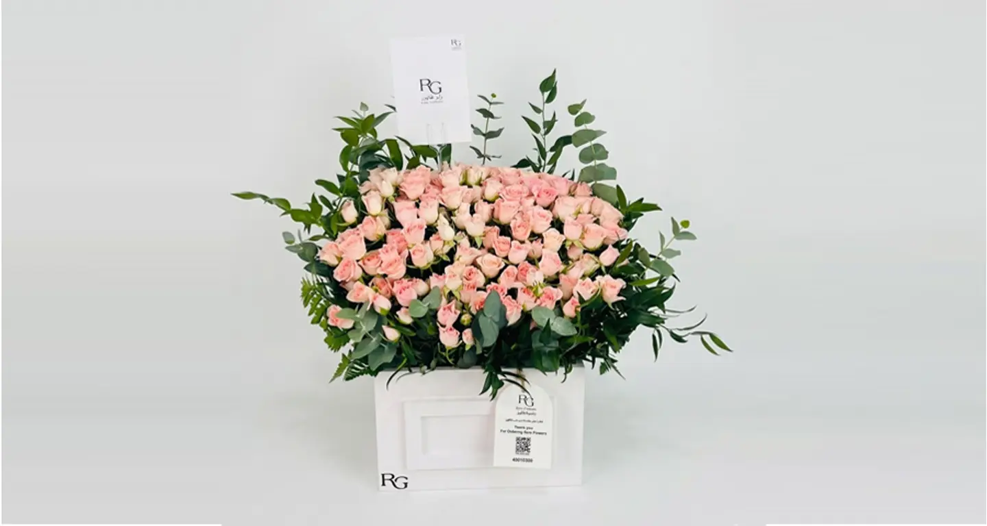 بوكس ورد رقم.٨٤١٦