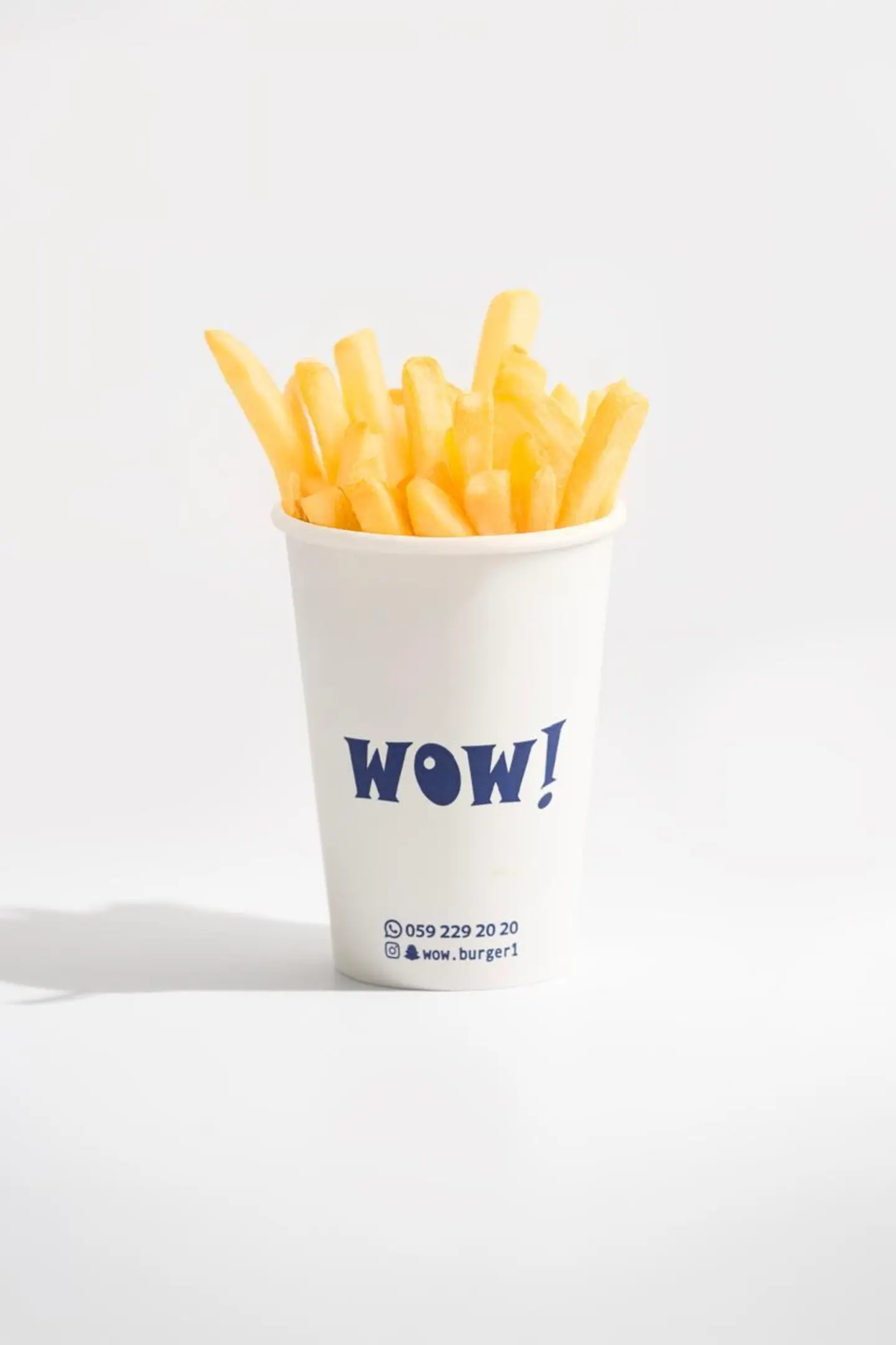 Spiced Fries