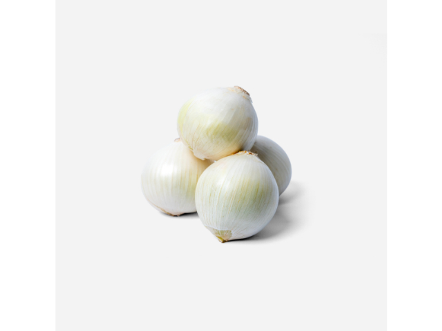 White Onion (Medium)