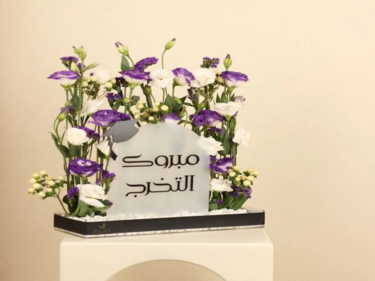 Congratulations On Your Graduation, Moov