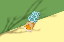 Chabbati Cheese W Chips