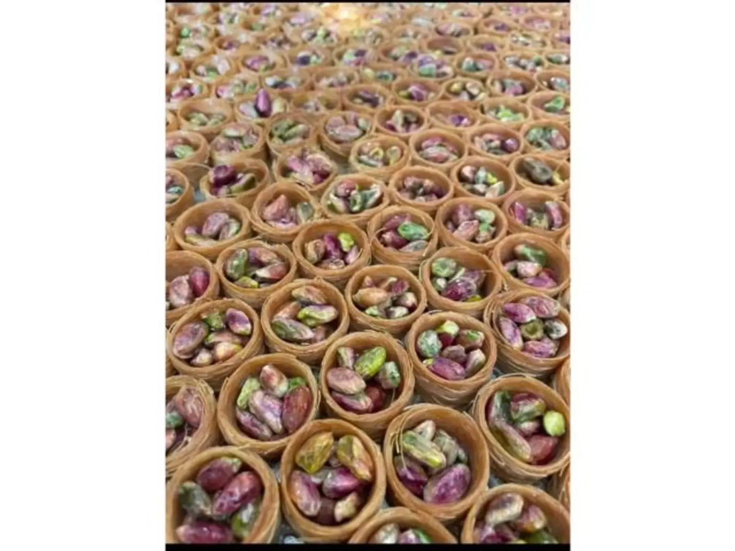 Bird's Nest
