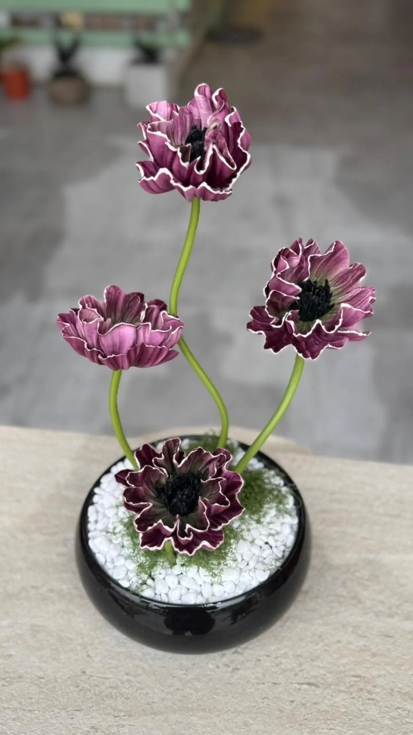 سحر الحديقة