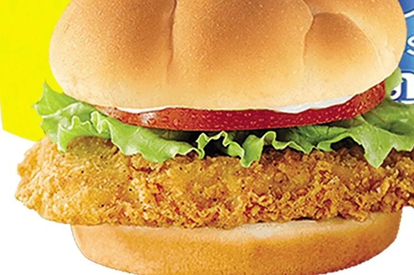 دجاج فيلية سمون مدور