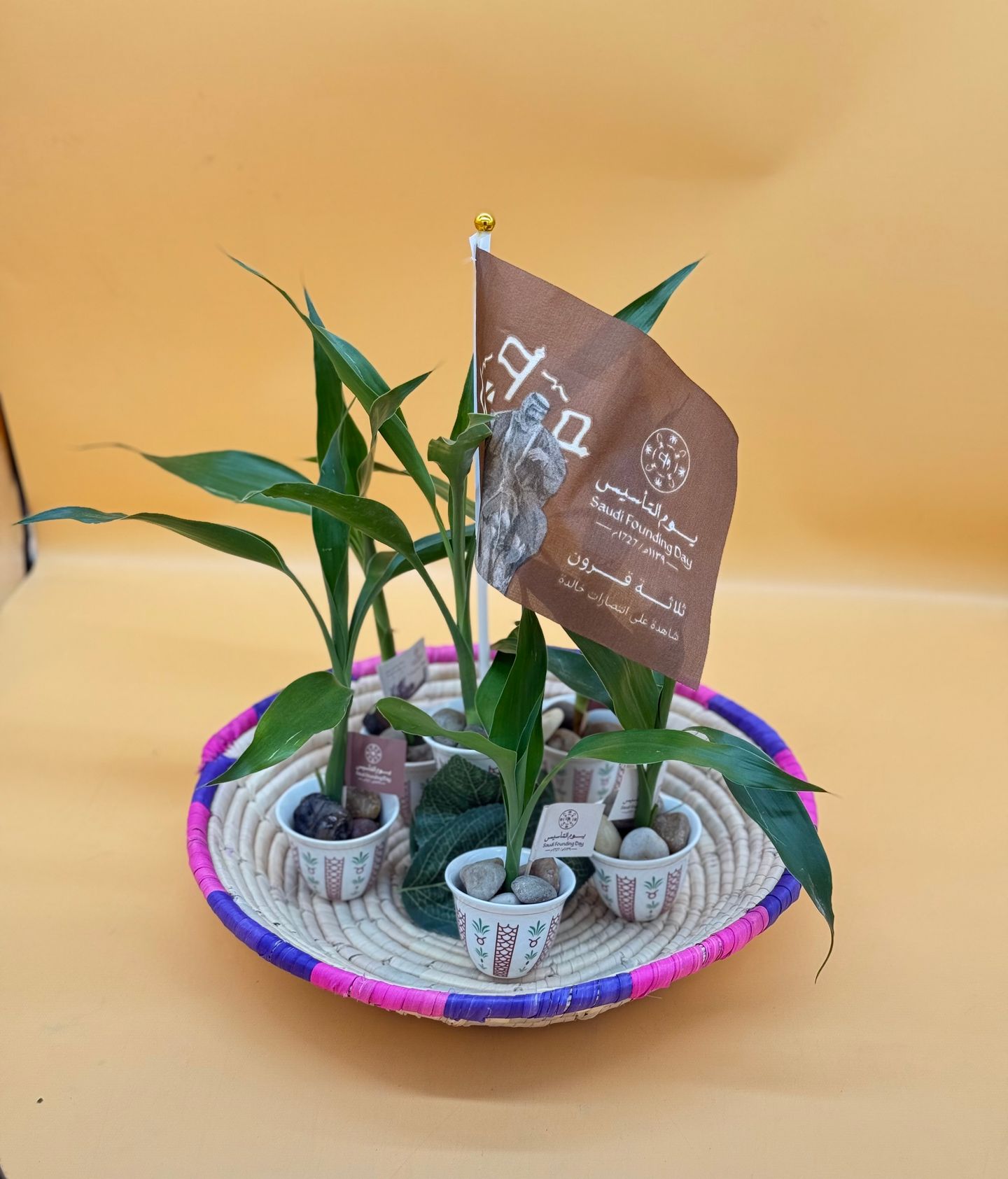 Distribution Of 6 Bamboo Stem Cups