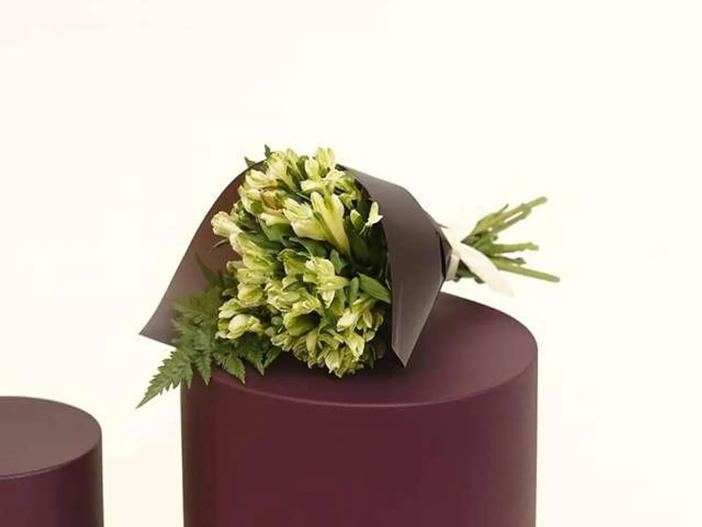 بوكيه الاستوماريا