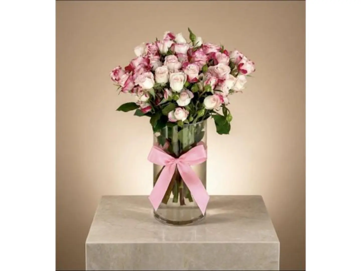 فازة مبروك المولودة