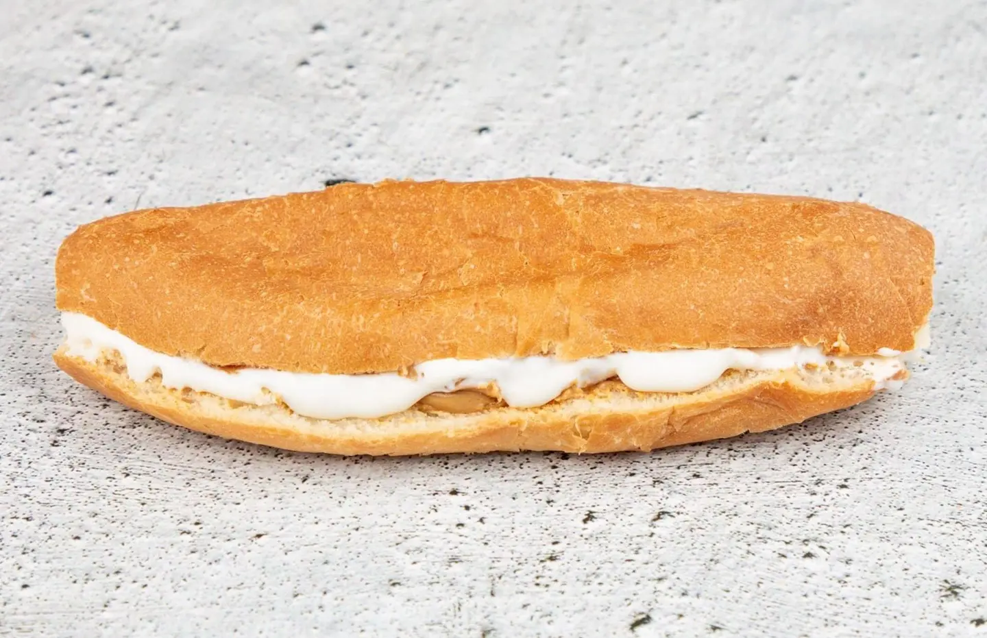 Melted Cheese Sandwich