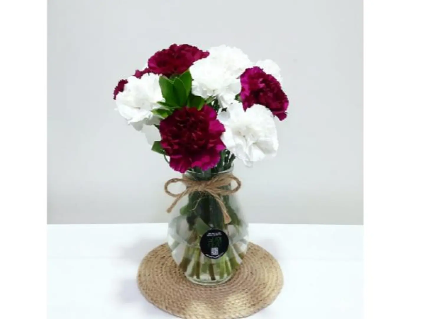 Carnation Beauty 388