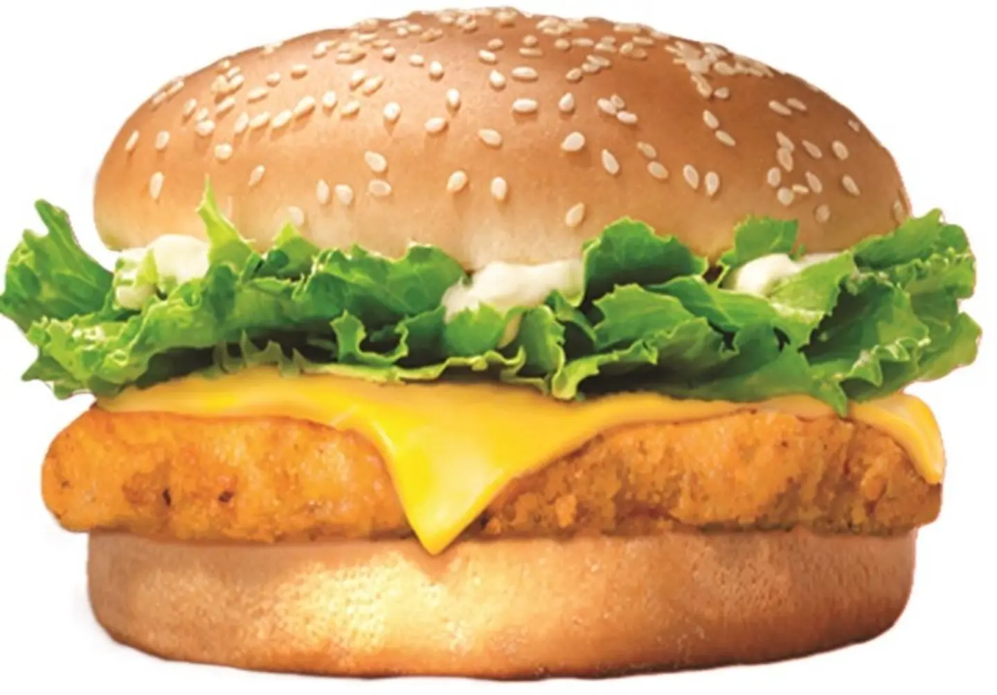 Chicken Burger Sandwich