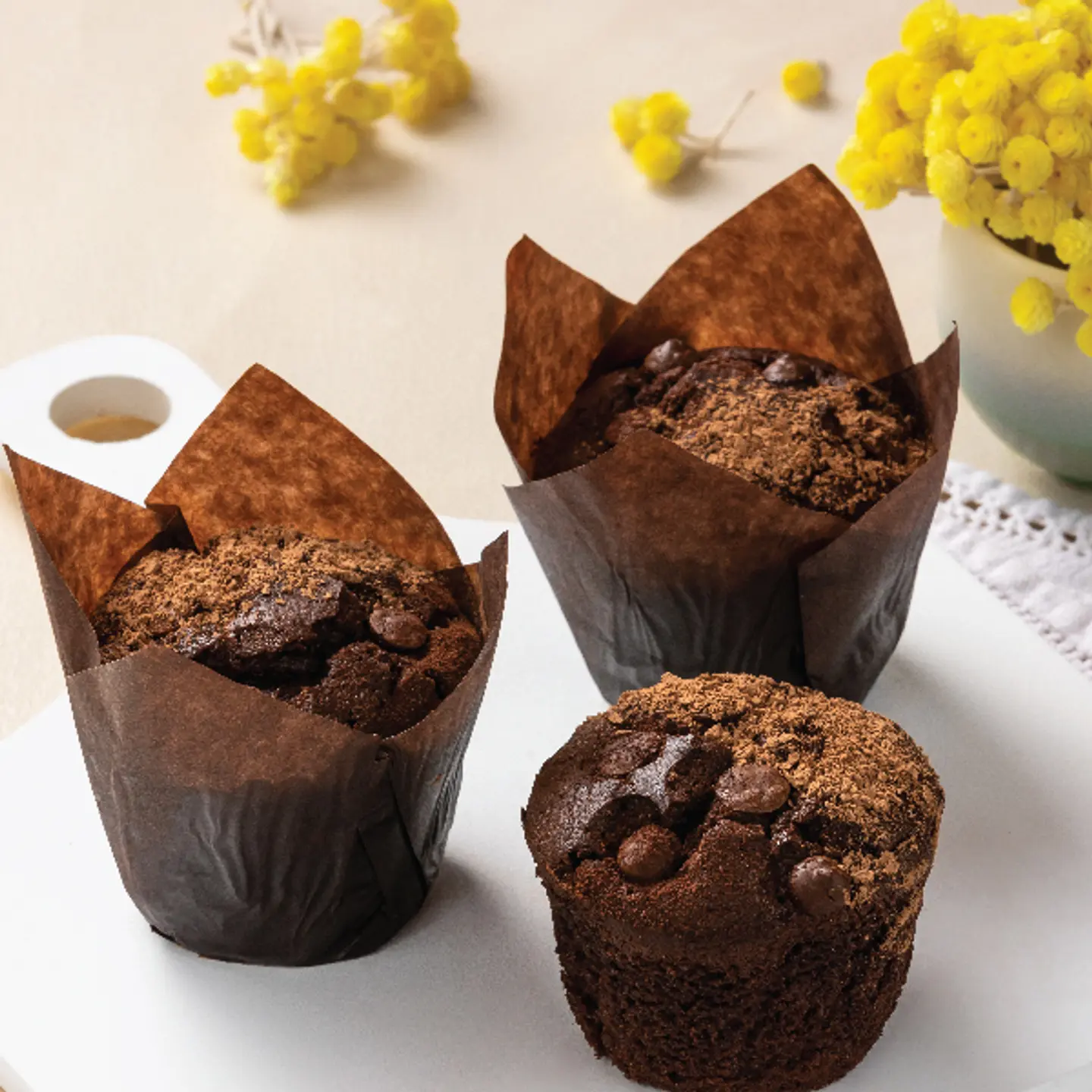 Double Chocolate Muffin