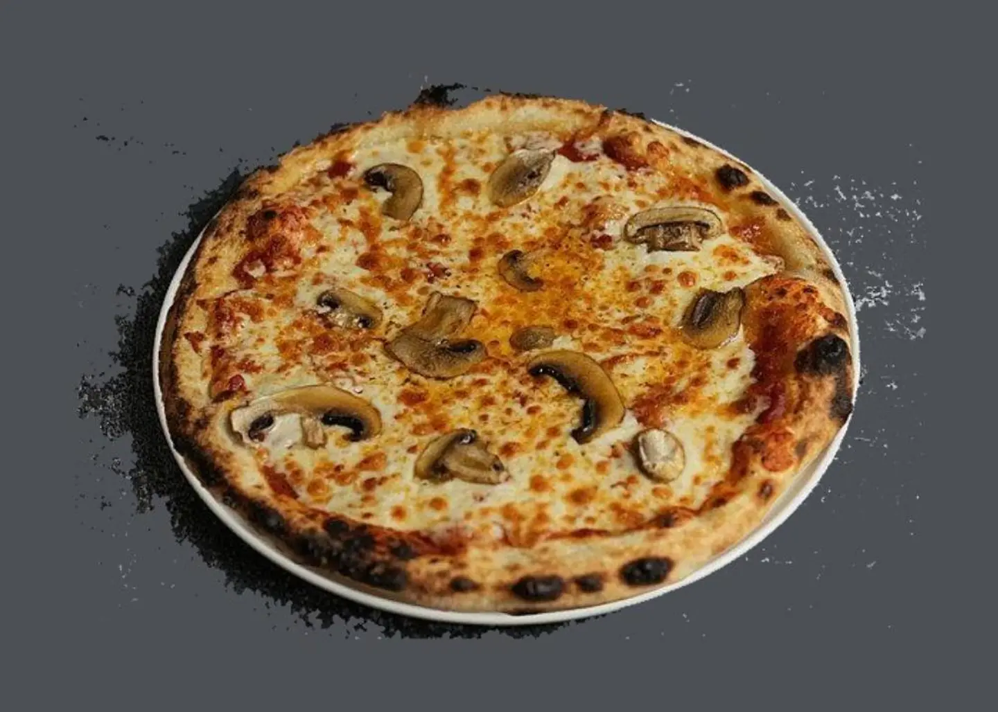 Porcini Mushroom And Smoked Cheese Pizza