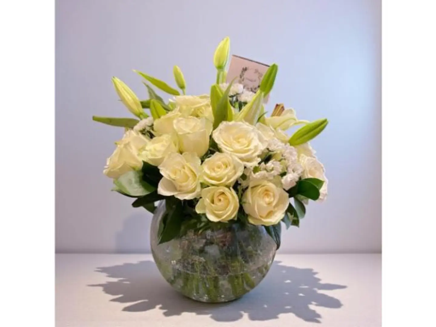 فازه ورد ايليقنت بيرل