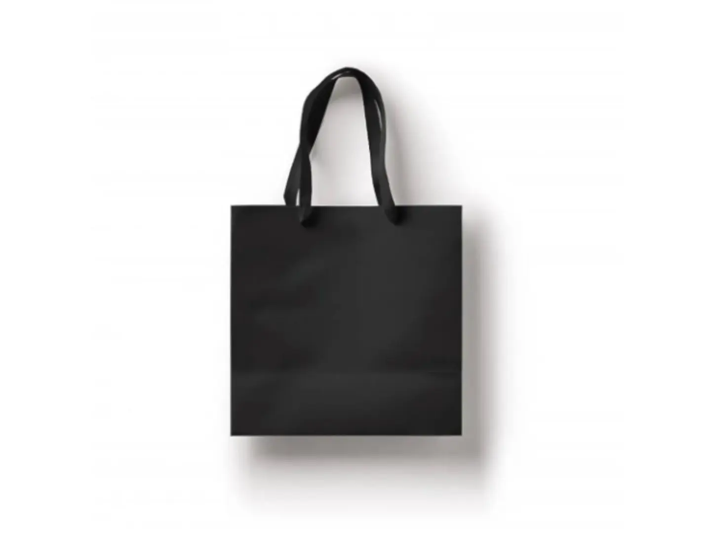 Large Gift Bag