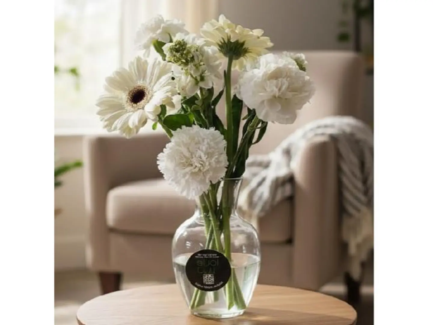 Jerbera With A Scent Flower 477