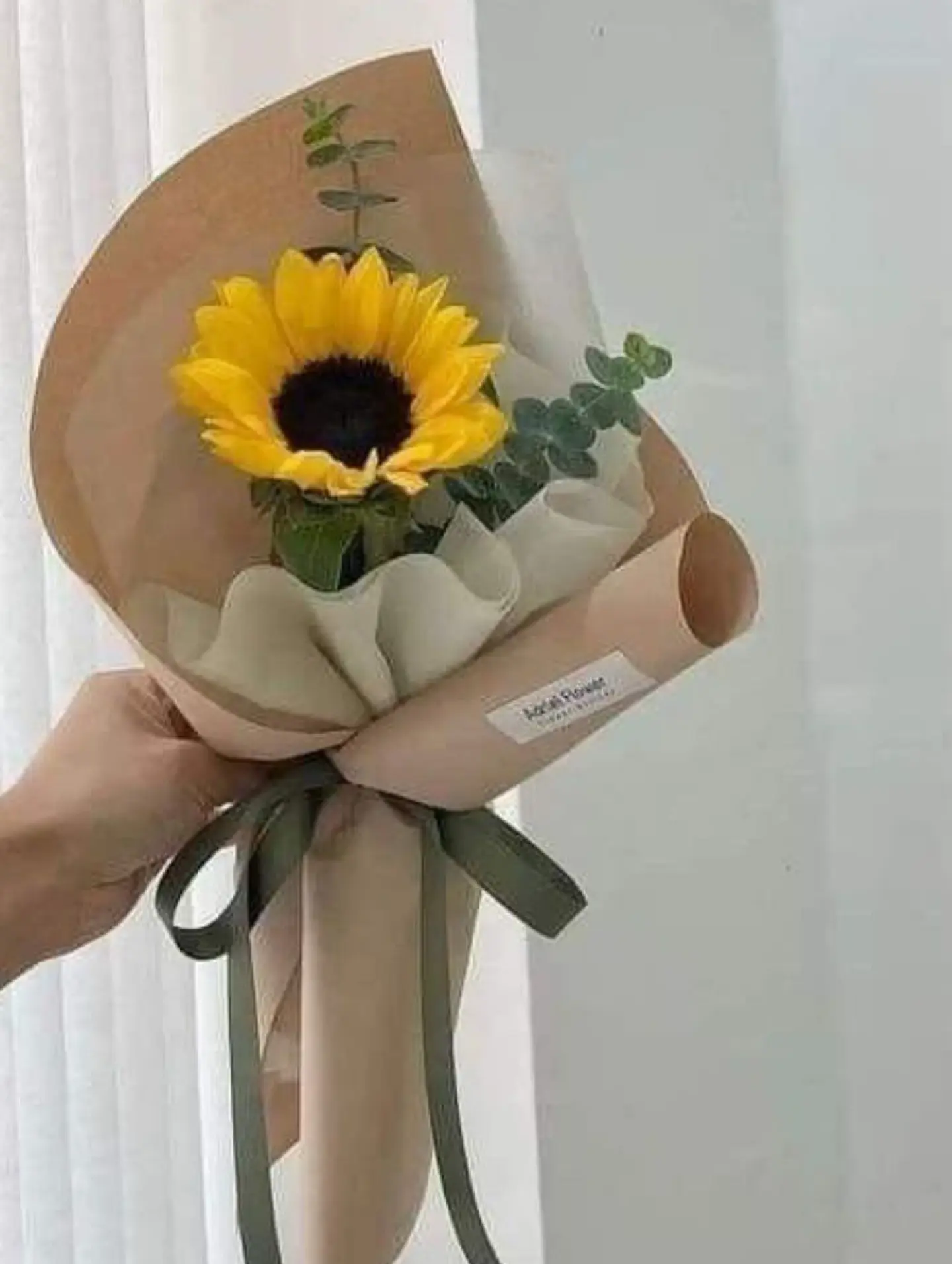 باقة دوار الشمس