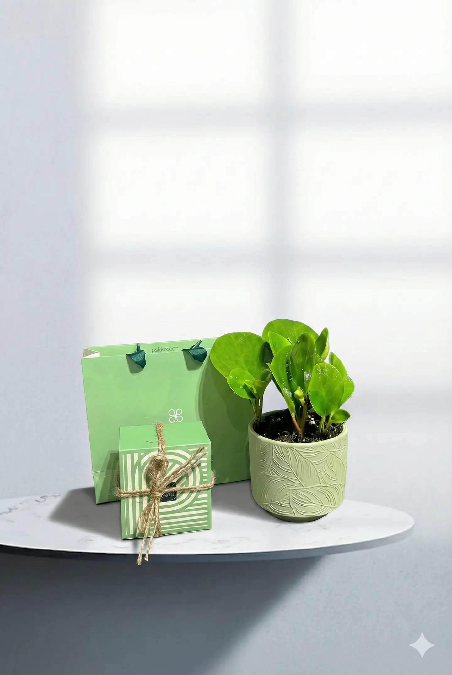 بيبروميا مع باتشي