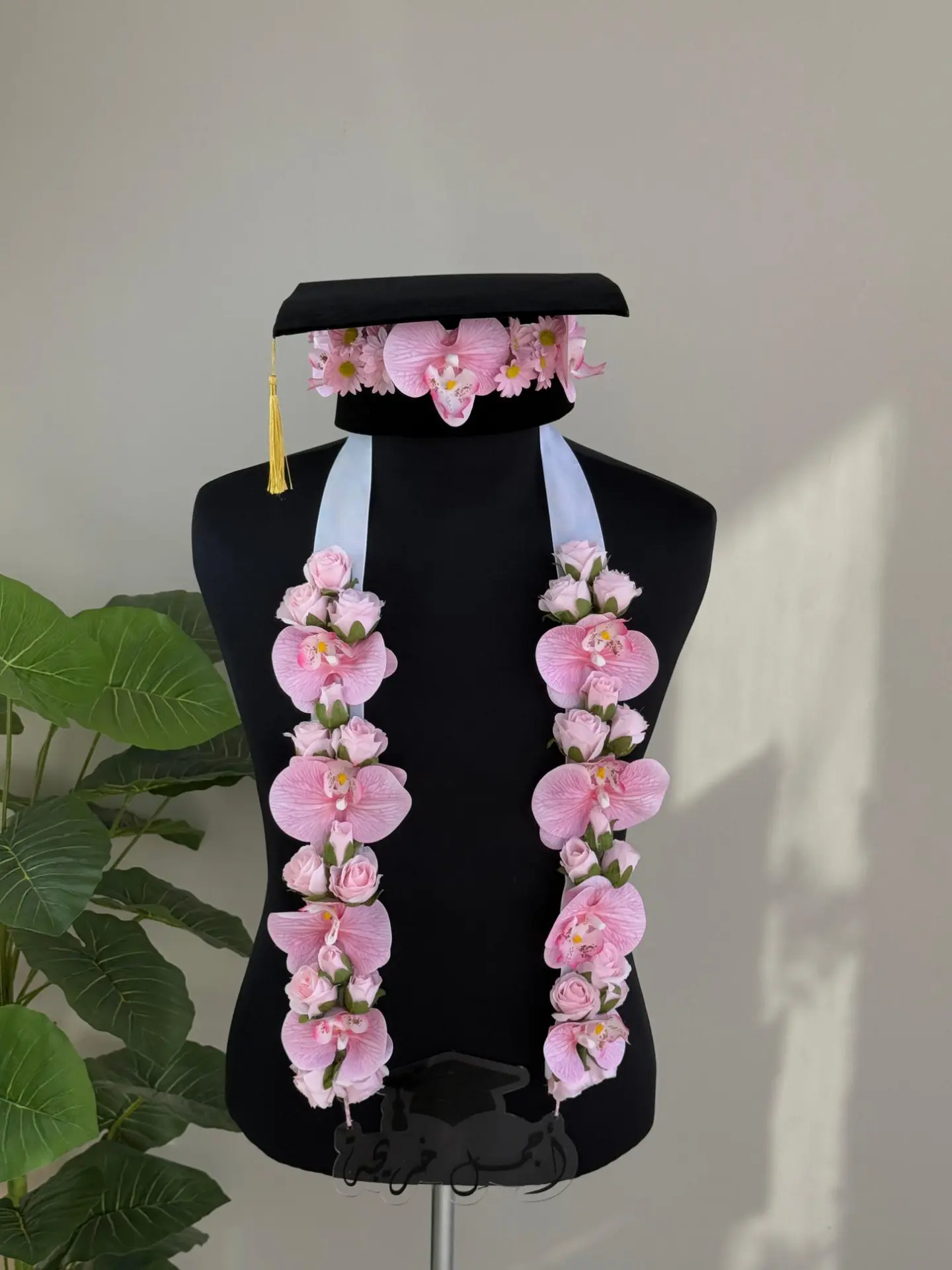 Graduation Contract With Graduation Cap 🎓