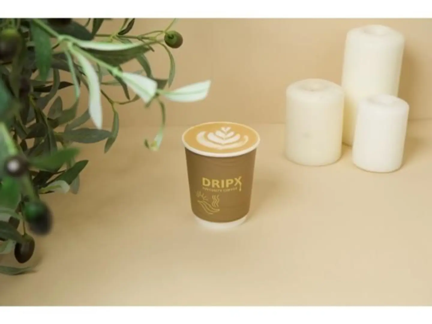 دريبكس لاتيه