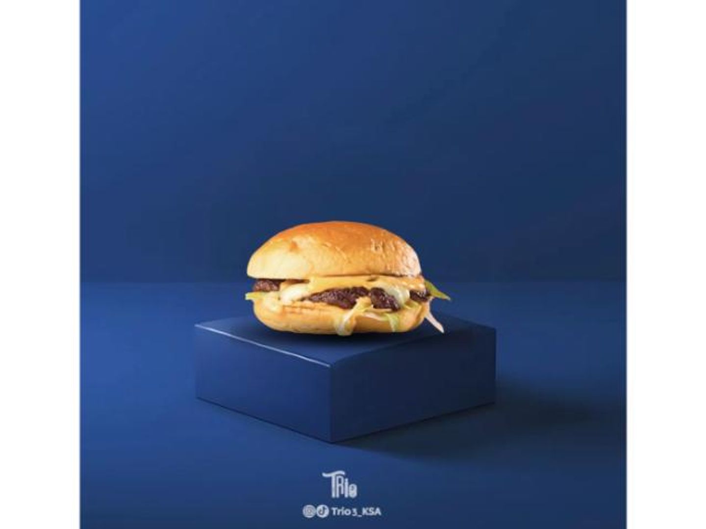 Solo Burger